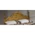 Windsor king size pine headboard. - view 1
